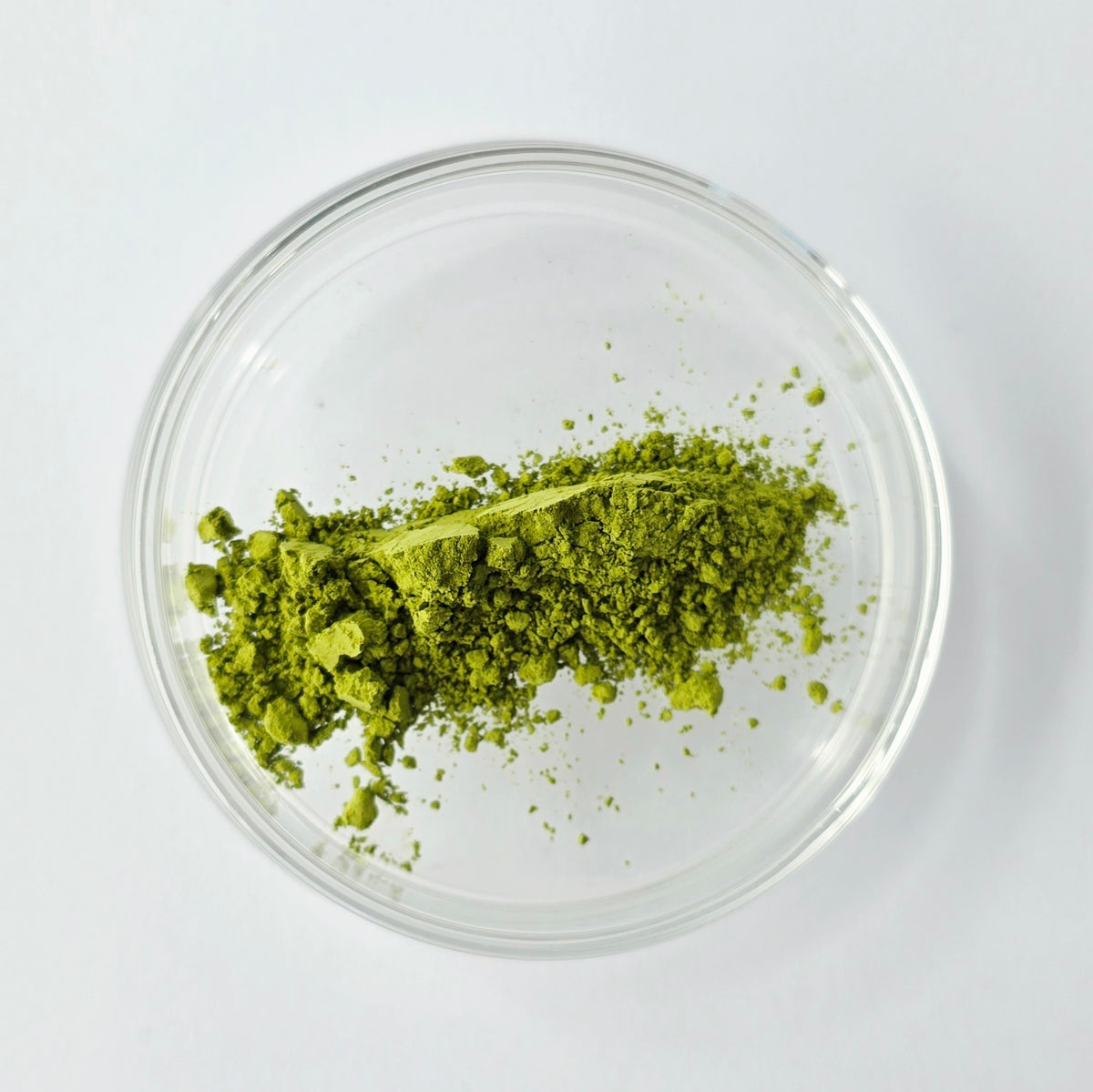 Green tea powder (Sencha) in a glass dish on a white background